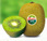 Zespri 纽西兰绿奇异果