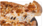 棒约翰 荤食天地披萨