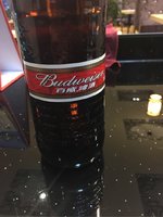 百威 啤酒
