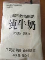 红梅 纯牛奶