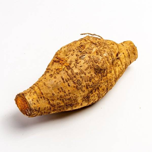 超过50 万种食物数据