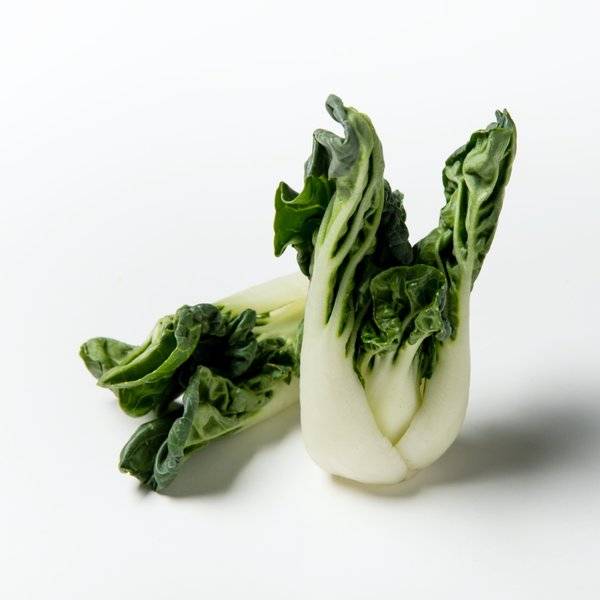 奶白菜