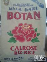 BOTAN 牡丹圆米