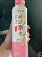 娃哈哈 桃源茶事蜜桃乌龙味果味茶饮料