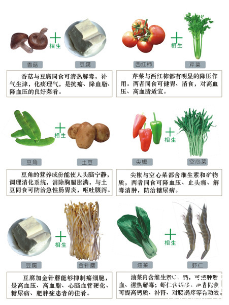 (有图) 食物的相生相克 - 薄荷减肥论坛