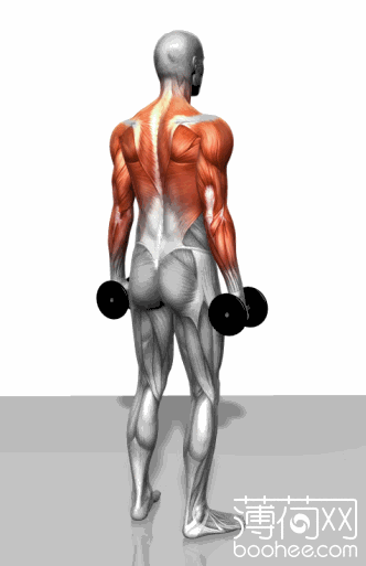 332_513竖版 竖屏gif 动态图 动图