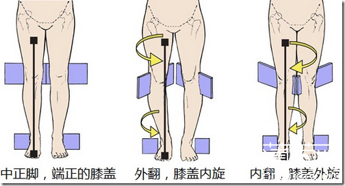 下肢内旋外旋动作图图片